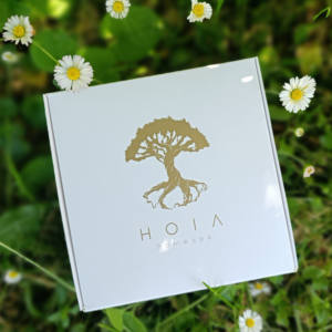 hoia-secret-box-suvi