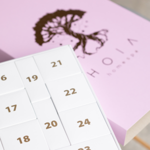 Advendikalender 2024