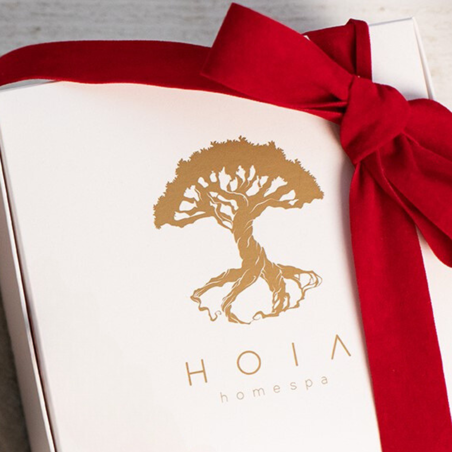 HOIA secret box